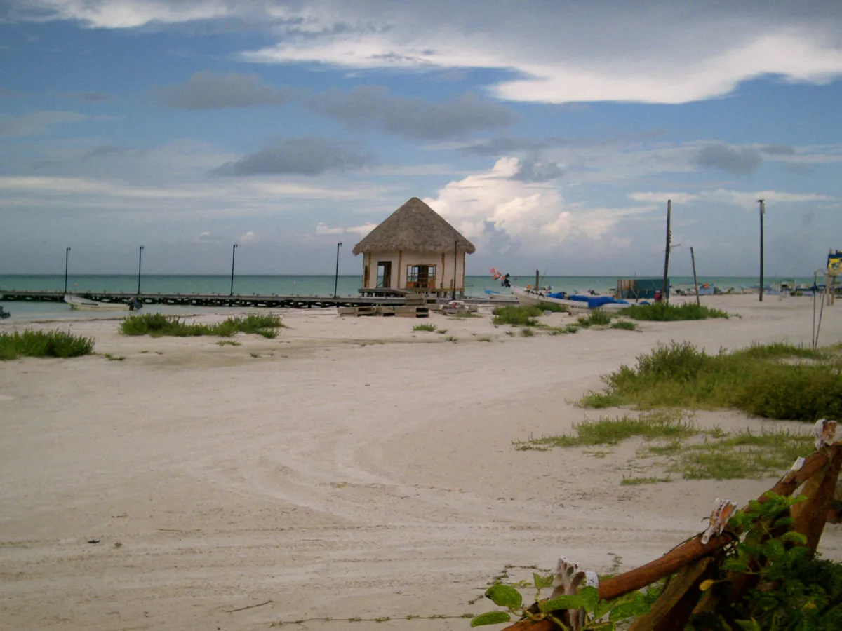 Whale Shark and Snorkeling Adventure from Isla Holbox