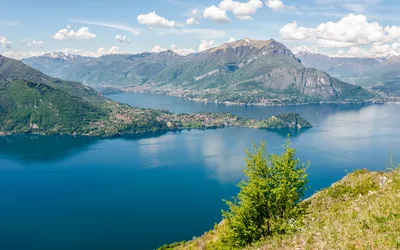 Domaso Wine Tasting and Winery Visit on Lake Como