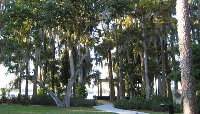 2-Hour Historical Wildlife Tour of the Chain of Lakes in Orlando