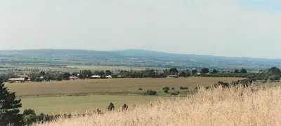McLaren Vale North Hop-On Hop-Off Wine Tour