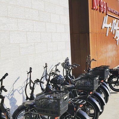 Ebike Niagara
