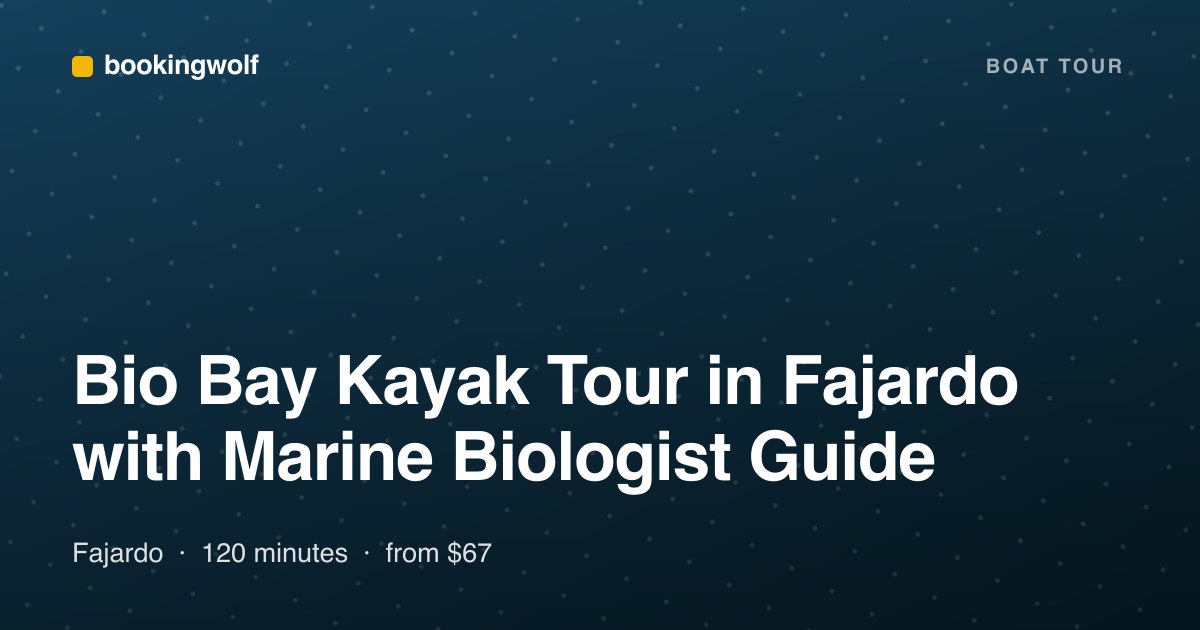 Bio Bay Kayak Tour in Fajardo with Marine Biologist Guide