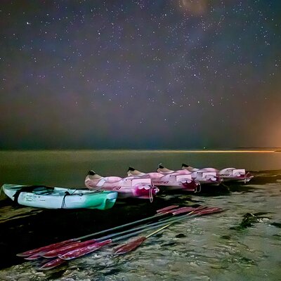 Eco-Adventure Holbox