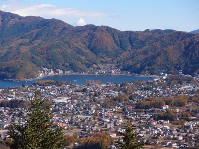 Mt Fuji Area Private Guided Nature Day Trip in Fujikawaguchiko with Native English Guide
