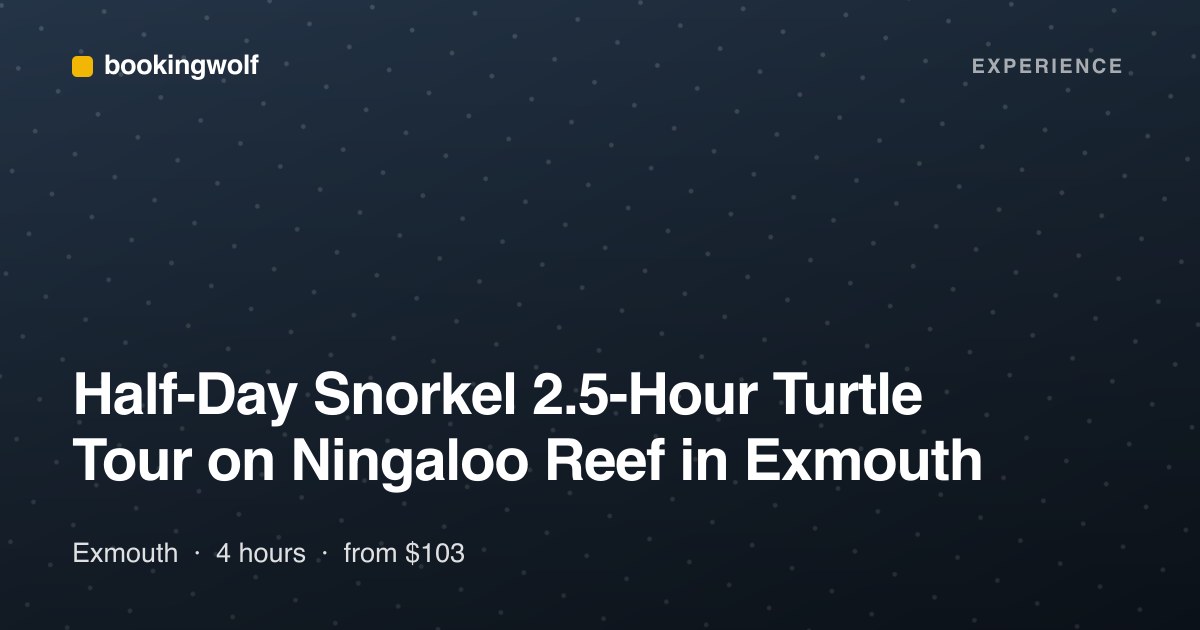 Half-Day Snorkel 2.5-Hour Turtle Tour on Ningaloo Reef in Exmouth