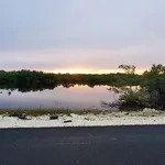 Experience the Natural Beauty of Long Island Bahamas