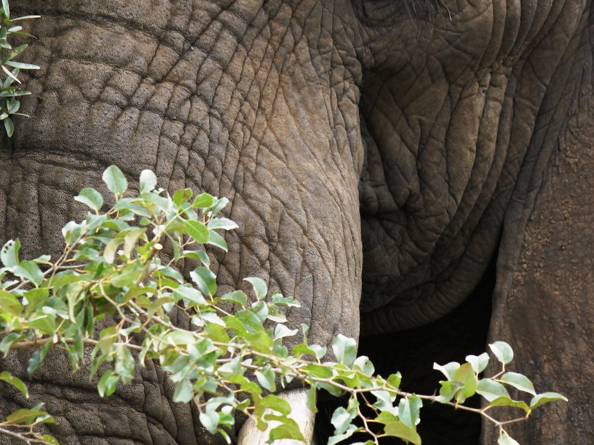 Extreme Nature Tours and Travel Day Tours