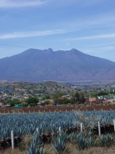 Jalisco Agave and Tequila Tour from Guadalajara including Tequila Town