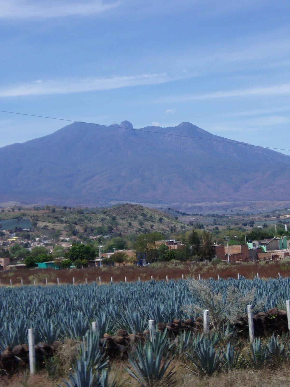 Jalisco Agave and Tequila Tour from Guadalajara including Tequila Town