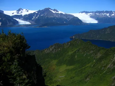 Kenai Fjords National Park Glacier and Wildlife Boat Tour from Seward