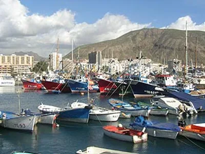 Full-Day Guided Tour to La Gomera from Tenerife with Lunch and Natural Sites