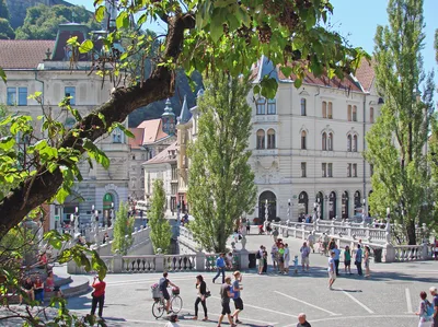 Slovenian small-group culinary walking tour in Ljubljana with wine and oil tasting