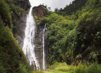 Kauaʻi Private Helicopter Flight: Doors-Off with All Window Seats