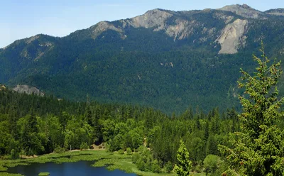 Skunk Train Pudding Creek Express 75-Minute Roundtrip from Fort Bragg