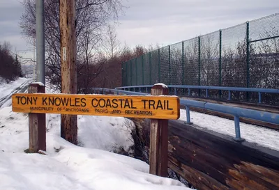 Viator Exclusive Go eBike Alaska 2-Hour Tony Knowles Coastal Trail Ride in Anchorage