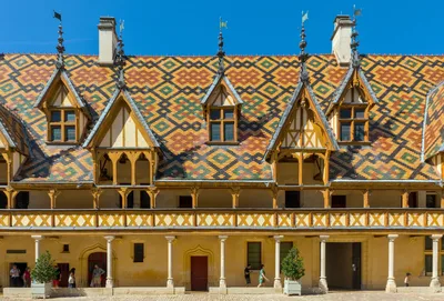 Burgundy Bike Tour with Wine Tasting from Beaune including Pommard and Volnay