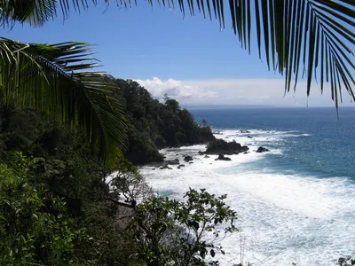 Pacheco Tours Caño Island Snorkeling Tour with Lunch and Playa San Josecito from Drake Bay