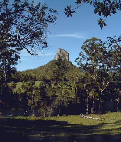 Sunshine Coast Hinterland and Noosa Day Trip from Brisbane Including Eumundi Markets