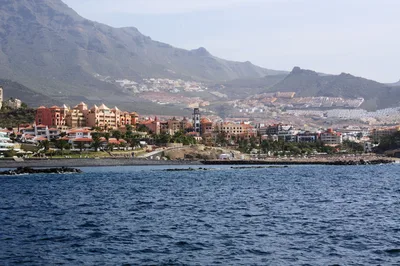 Tenerife 5-Hour Whale and Dolphin Watching and Listening Tour with Food and Drinks at Los Gigantes and Masca