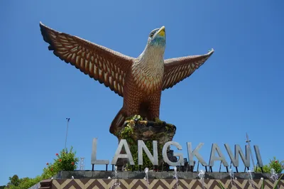 Langkawi UNESCO Geopark Mangrove Cruise on JungleWalla Explorer Boat