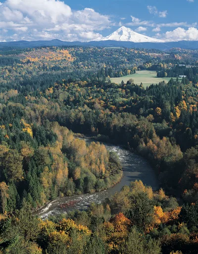 Full-Day Mt Hood Waterfall Tour in Portland with Lunch and Wine Included