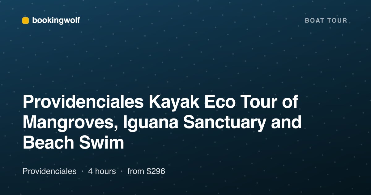 Providenciales Kayak Eco Tour of Mangroves, Iguana Sanctuary and Beach Swim
