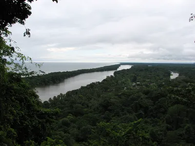 Tortuguero National Park Canal Tour by Canoe