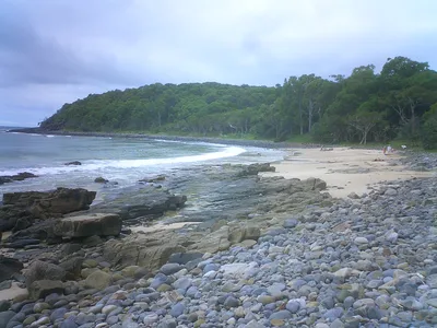 Noosa Quad Bike Tour in Woondum National Park with Safety Gear
