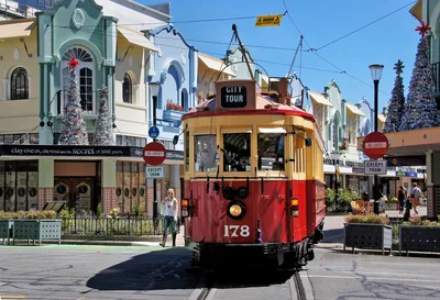TranzAlpine Train, Arthur's Pass and Castle Hill Day Trip from Christchurch