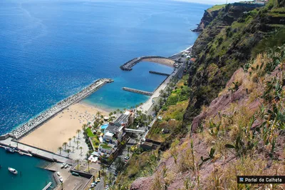 Whale and Dolphin Watching 2-Hour Tour in Calheta, Madeira Island