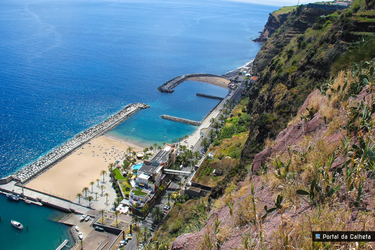 Whale and Dolphin Watching 2-Hour Tour in Calheta, Madeira Island