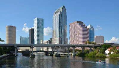Dolphin Sightseeing Cruise 1.5 Hours from Tampa