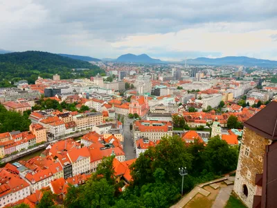 Ljubljana 2-Hour Interactive Wine Tasting with 7 Slovenian Wines