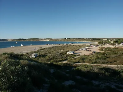 Ningaloo Reef Wildlife Tour with Manta Snorkeling and Lunch from Coral Bay