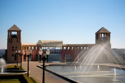 Bar-Hopping and Food Walking Tour in Curitiba