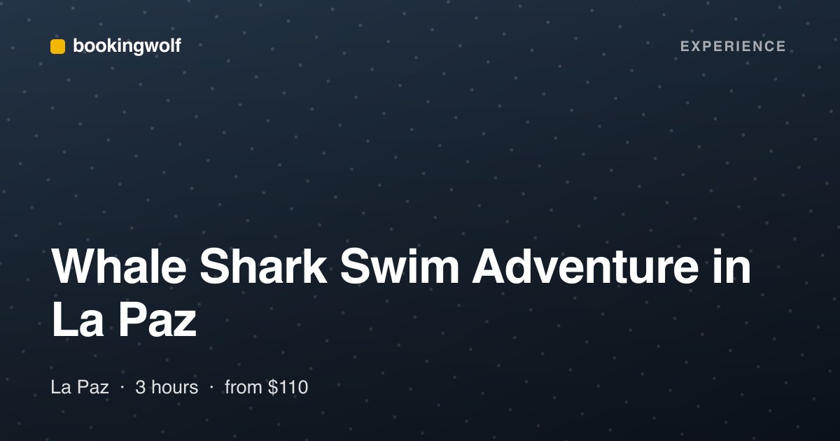 Whale Shark Swim Adventure in La Paz
