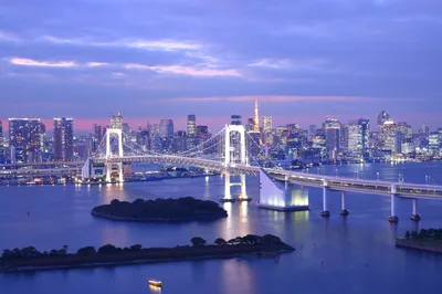 Tokyo Yakatabune Dinner Cruise Sakura Theme with Show and Drinks