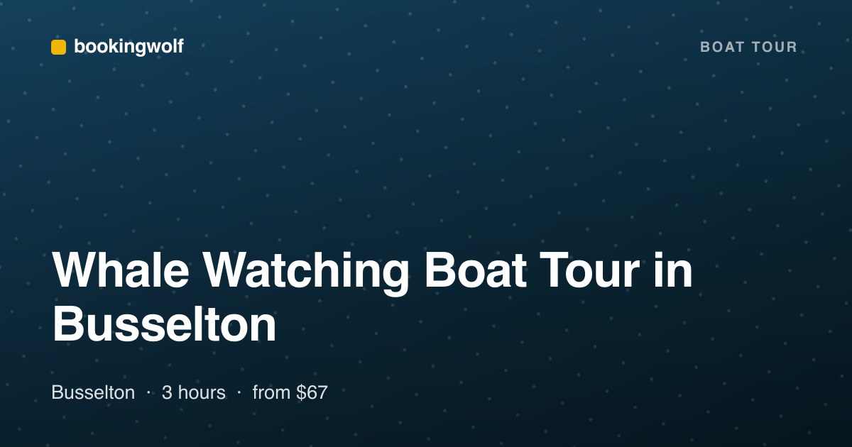 Whale Watching Boat Tour in Busselton