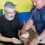 Free Walking Tour Granada Nicaragua. ( Bee Man Tours)