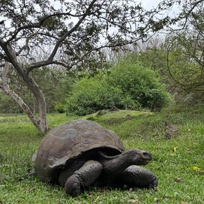 Galápagos Ninfa Tour