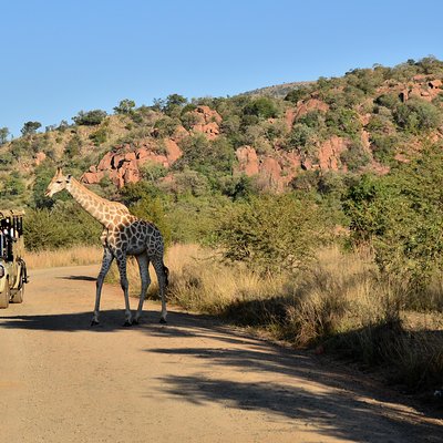 GAMETRACKERS A Division of Tourvest Holding (Pty) Ltd t/a Mankwe GAMETRACKERS