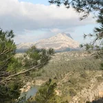 Gentle Provence