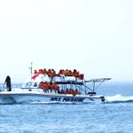 Great White Shark Tours