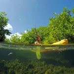GroundSea Adventures BVI