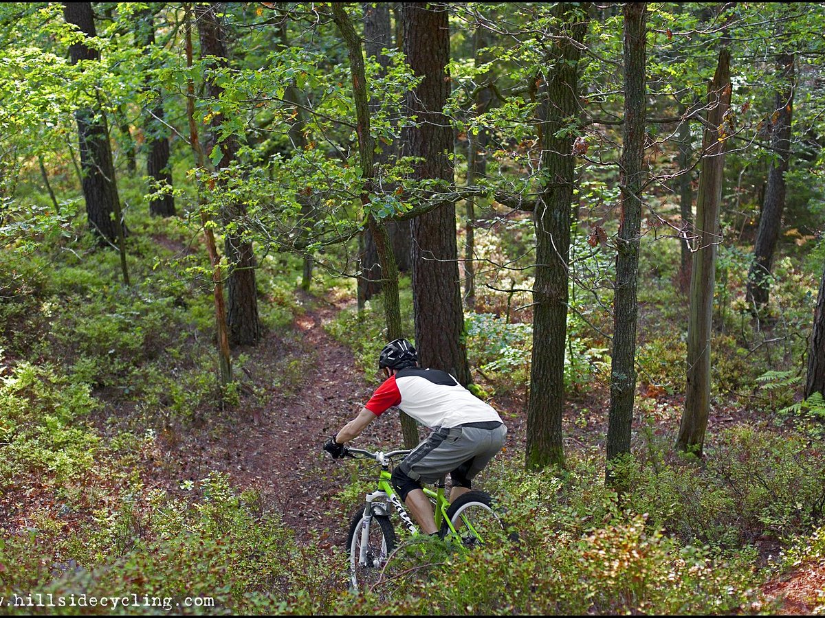 Hillside Cycling Guided Mountainbike Tours