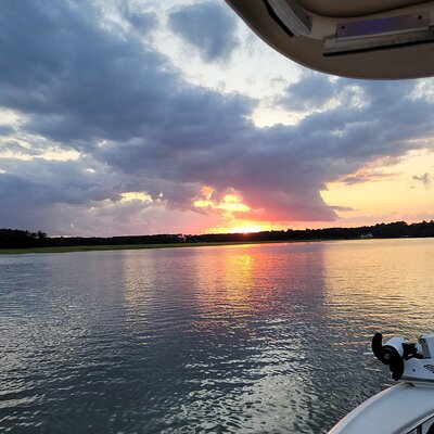 Hilton Head Dolphin Tours®