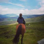 Hollywood horse and pony trekking