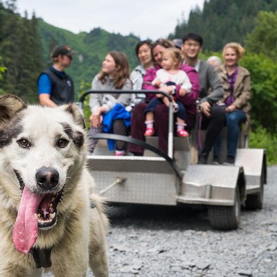 IdidaRide Sled Dog Tours, Inc