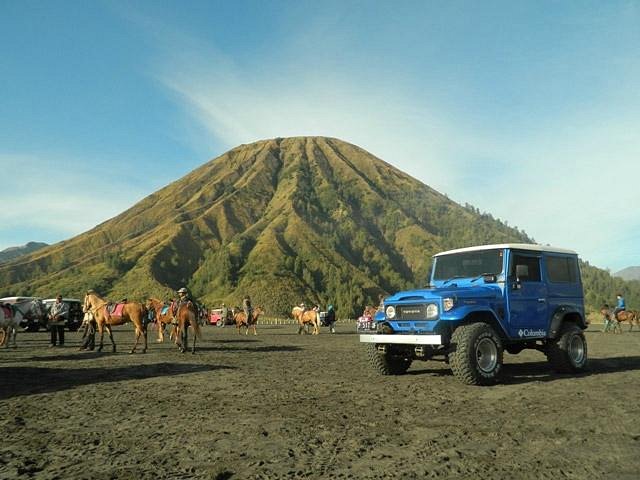 Ijen Blueflame Tour Day Tours
