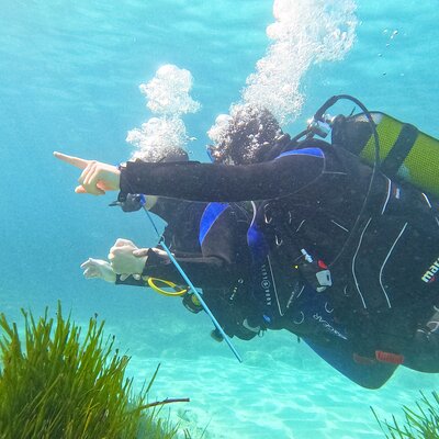 IKIGAI SCUBA